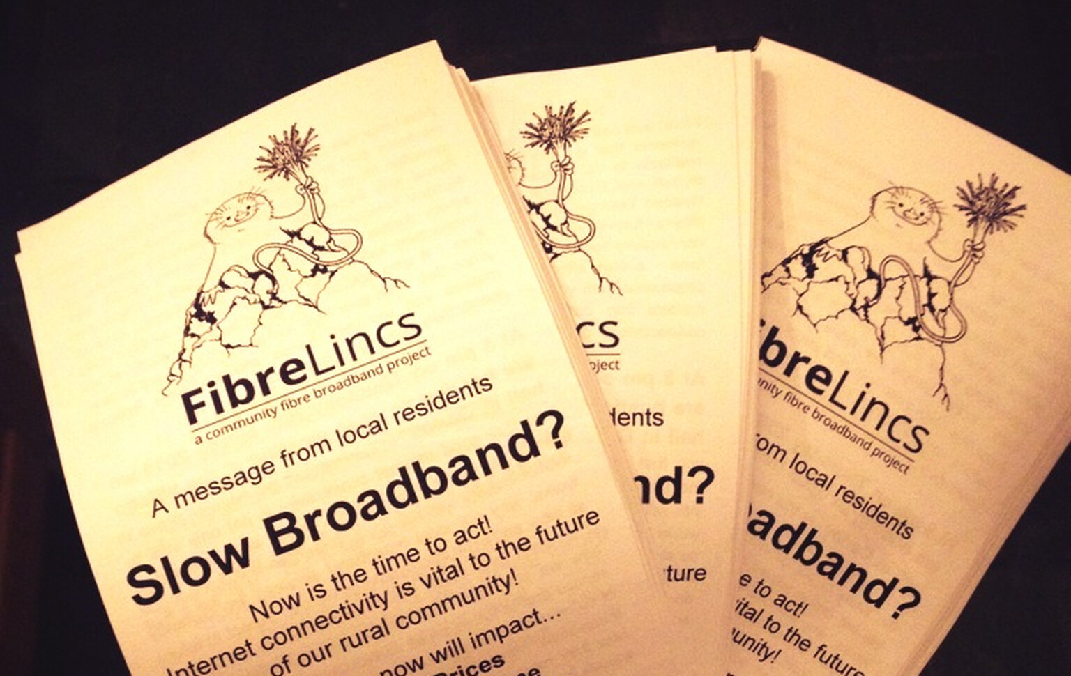 Lincolnshire residents plan fibre broadband to beat BT rural bottleneck
