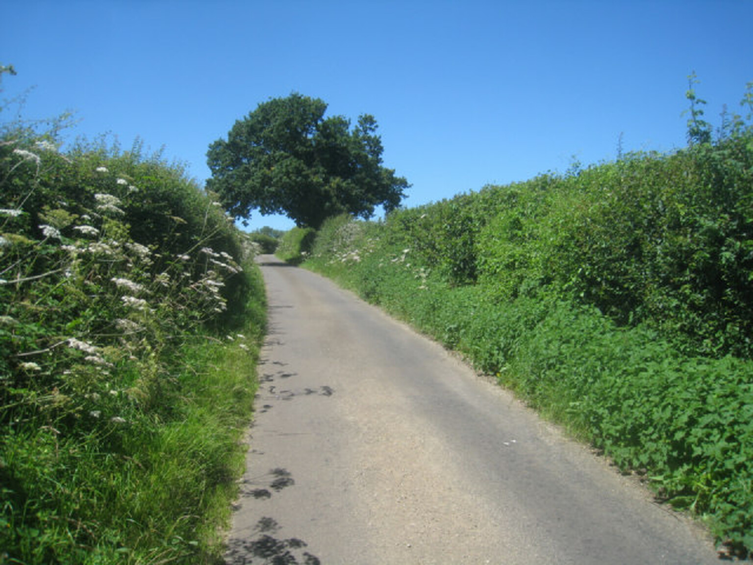 Basingstoke's HiWiFi breathes 16Mbps of life into Hampshire broadband dead zone