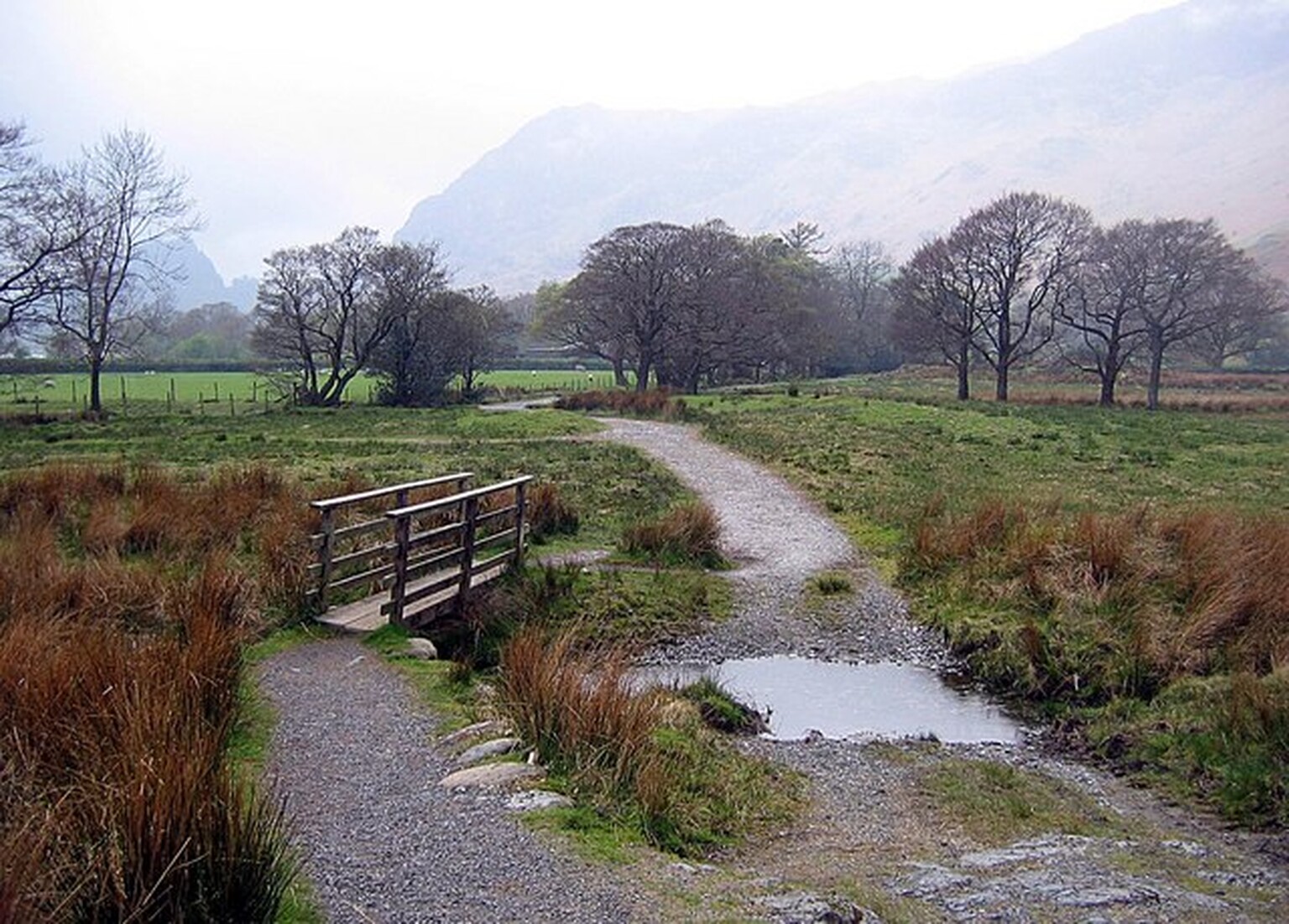 UK's broadband gap failing rural families says NFU Mutual