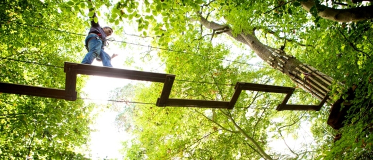 Go Ape boss forks out £30,000 for fibre optic broadband