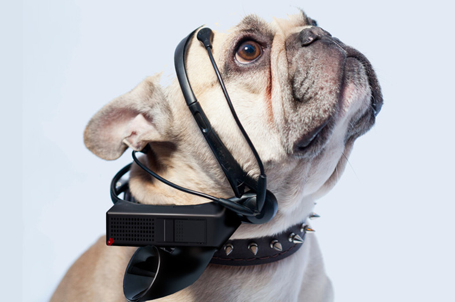 Read your dog's mind with No More Woof…