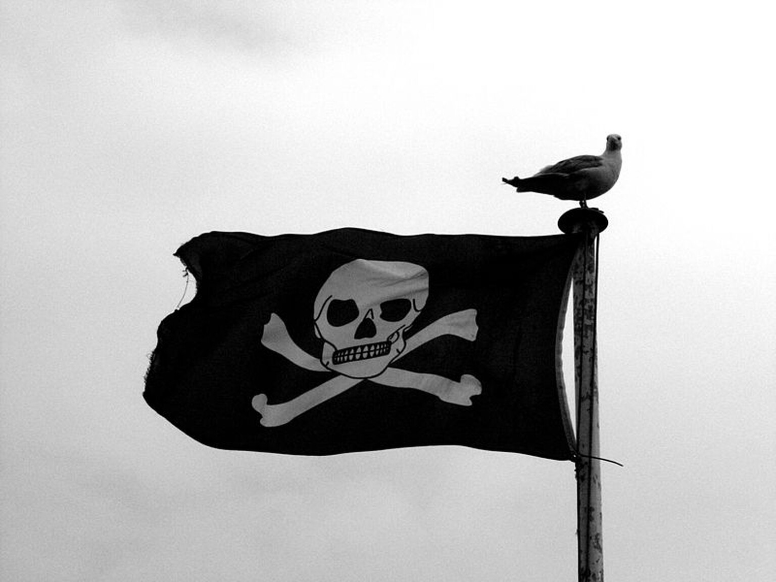 City of London Police seize pirate websites