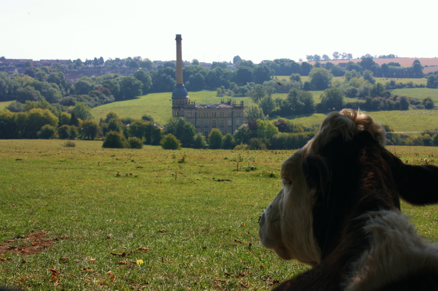 Cameron and Clarkson miss out as Chipping Norton fibre broadband funding axed