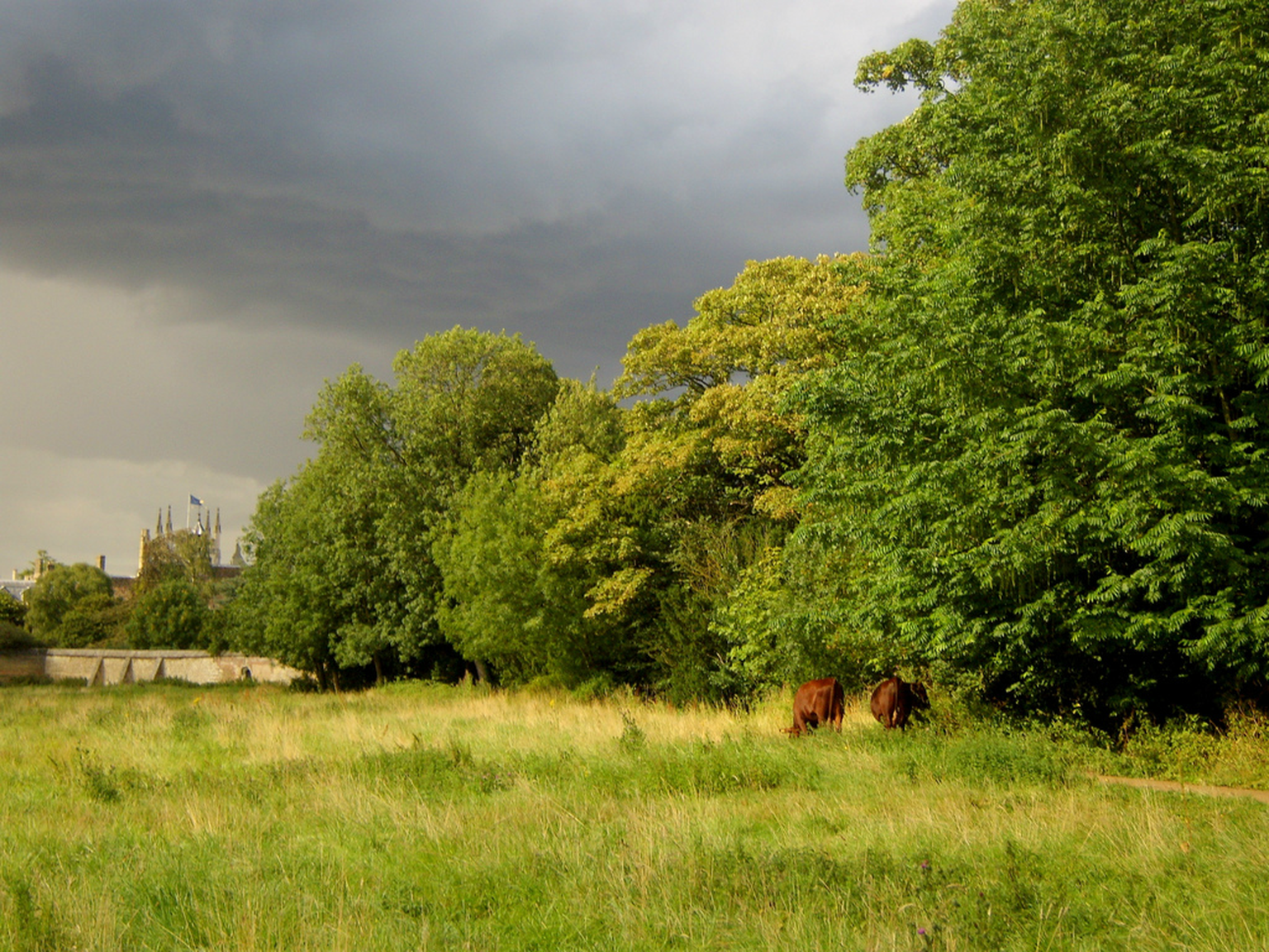 Reports of St. Jude’s Storm’s damage to UK broadband come flooding in