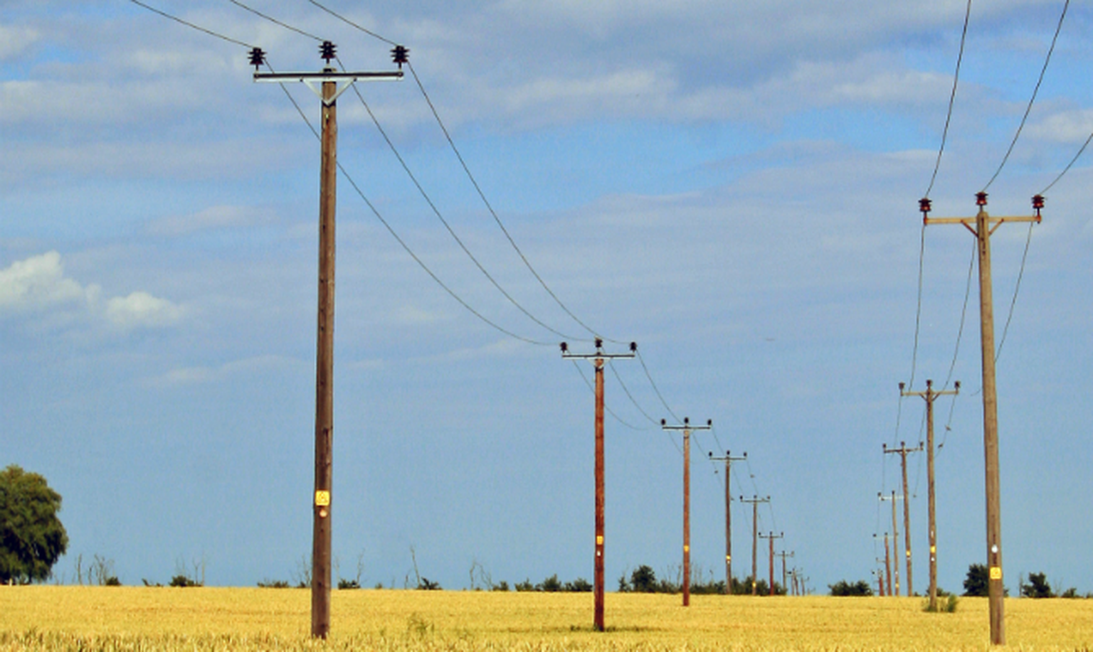 BT broadband, phone, line rental and Sky Sports prices to rise in 2014