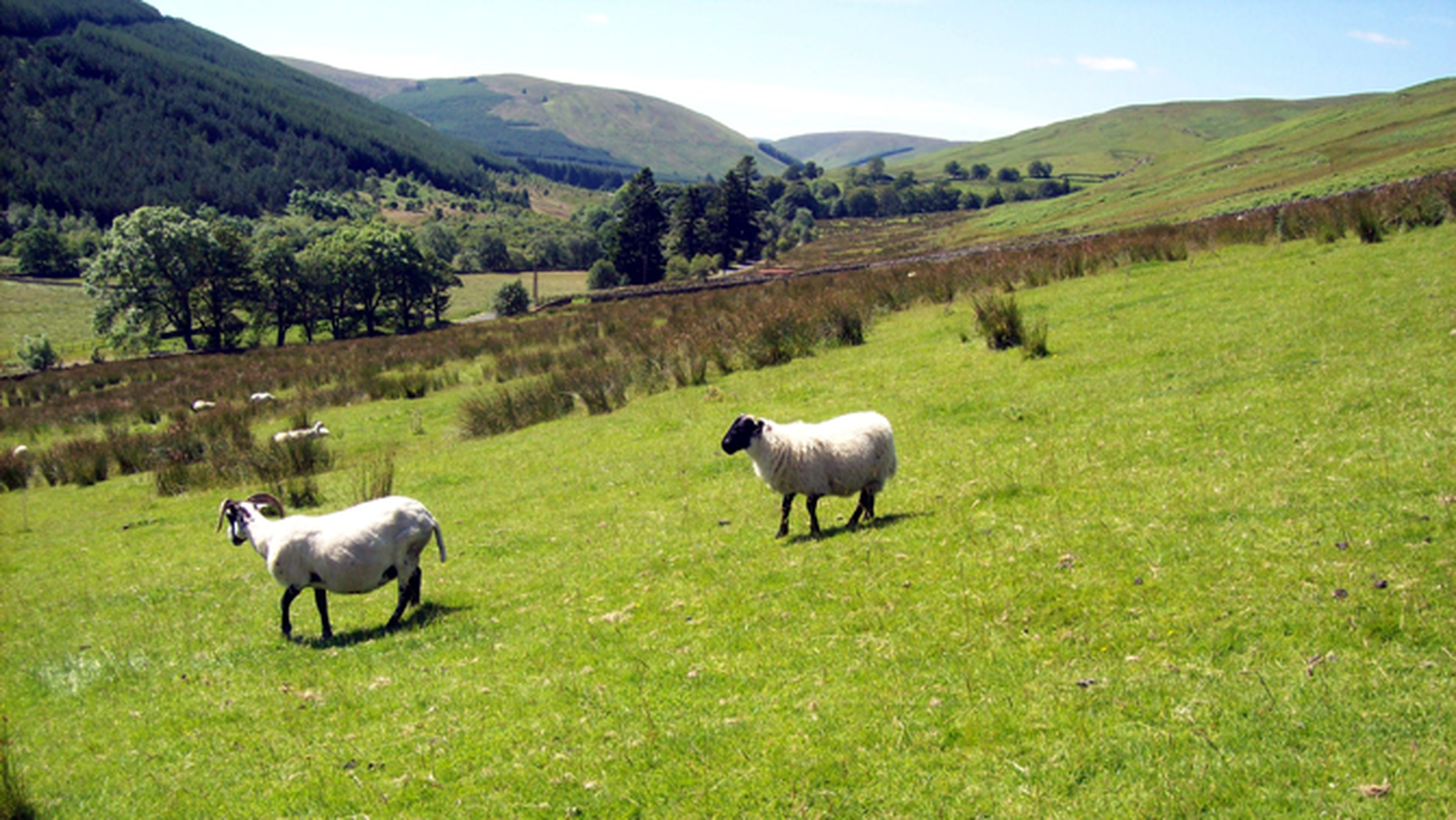 Scottish Borders rural broadband project seeks partners