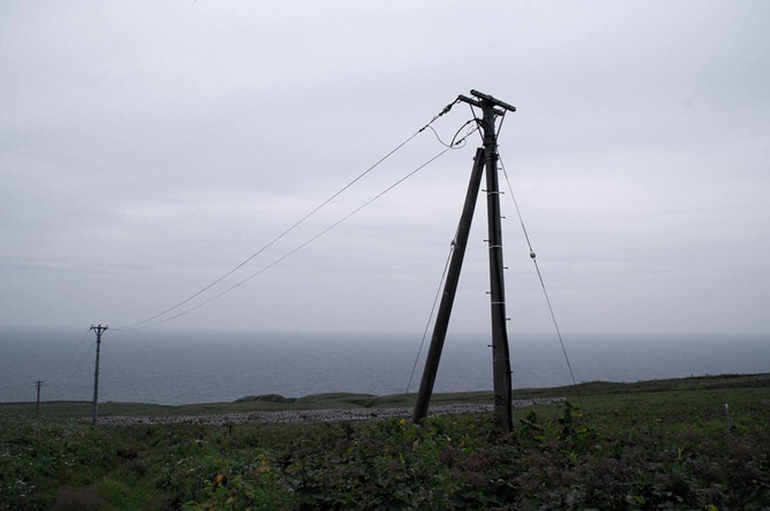 Fibre poles and cabinets planning free-for-all greenlit despite objections