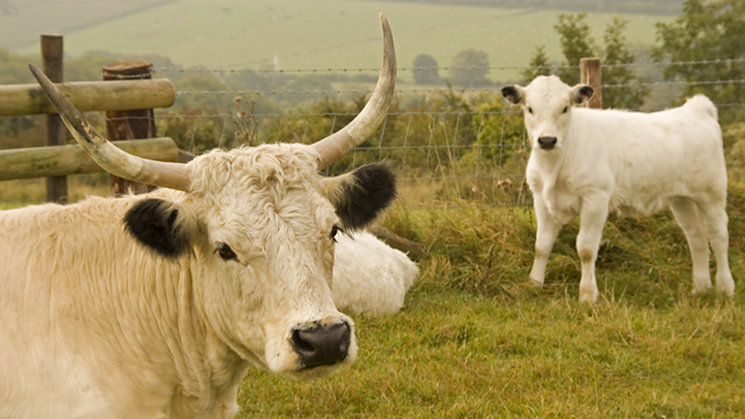 Defra’s Rural Broadband fund deadline extended to June