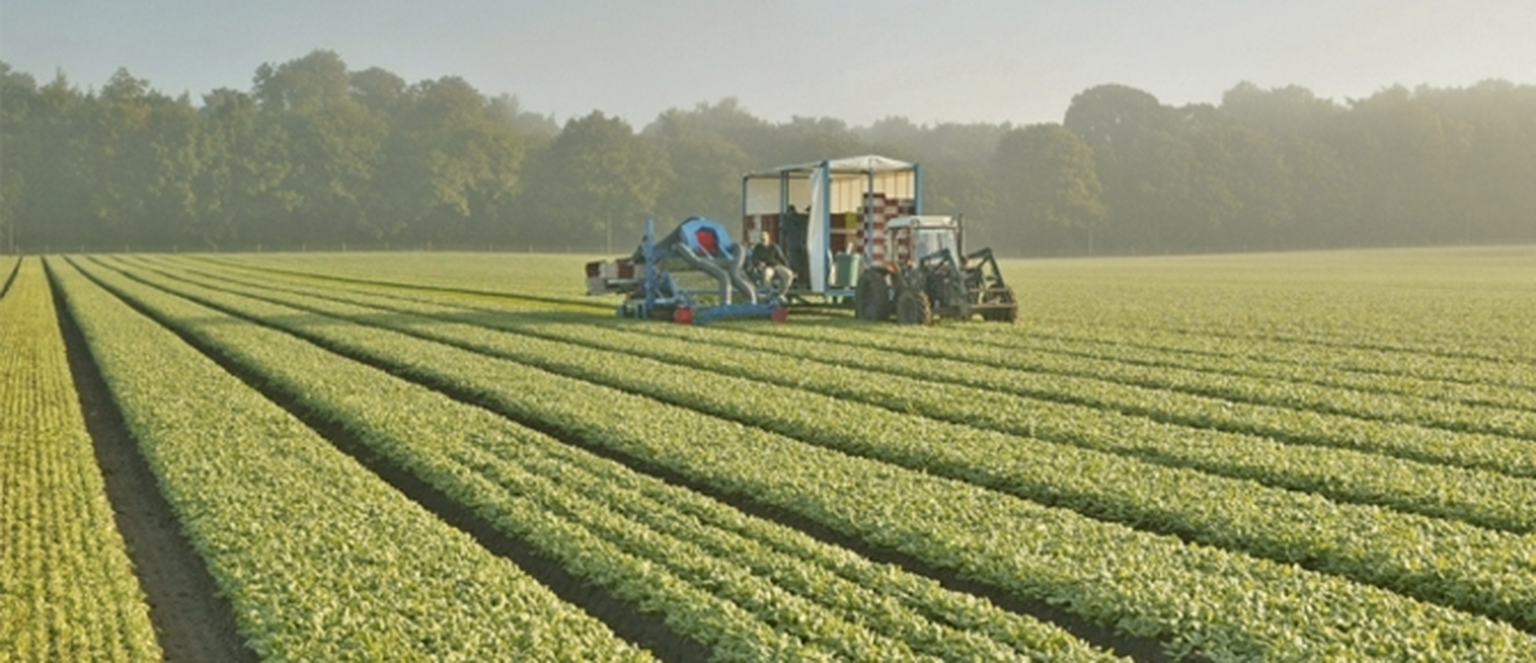 Surrey aims for 100 per cent superfast rural broadband coverage by 2015