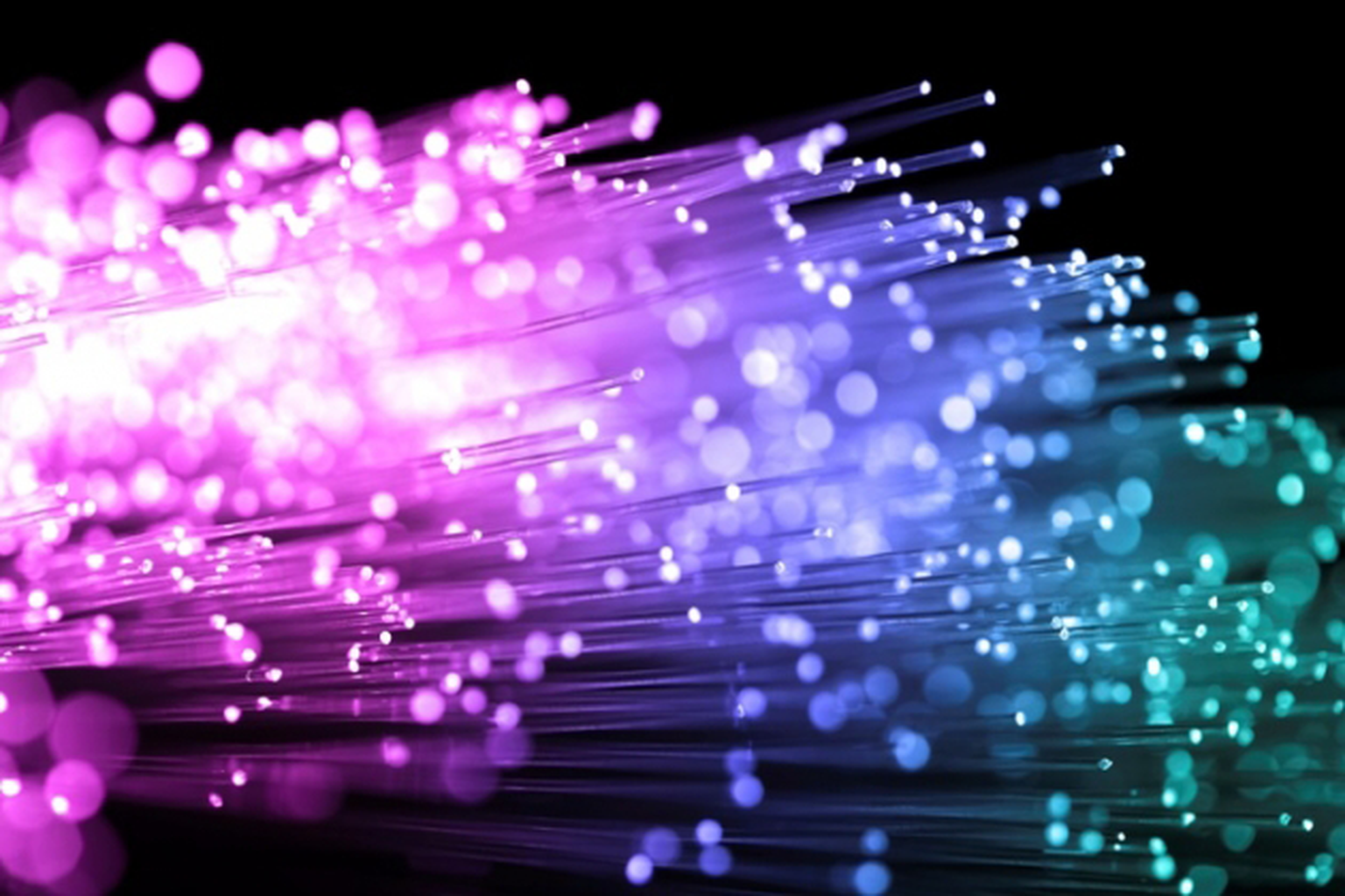 KC to bring fibre broadband to 15,000 Hull properties this year