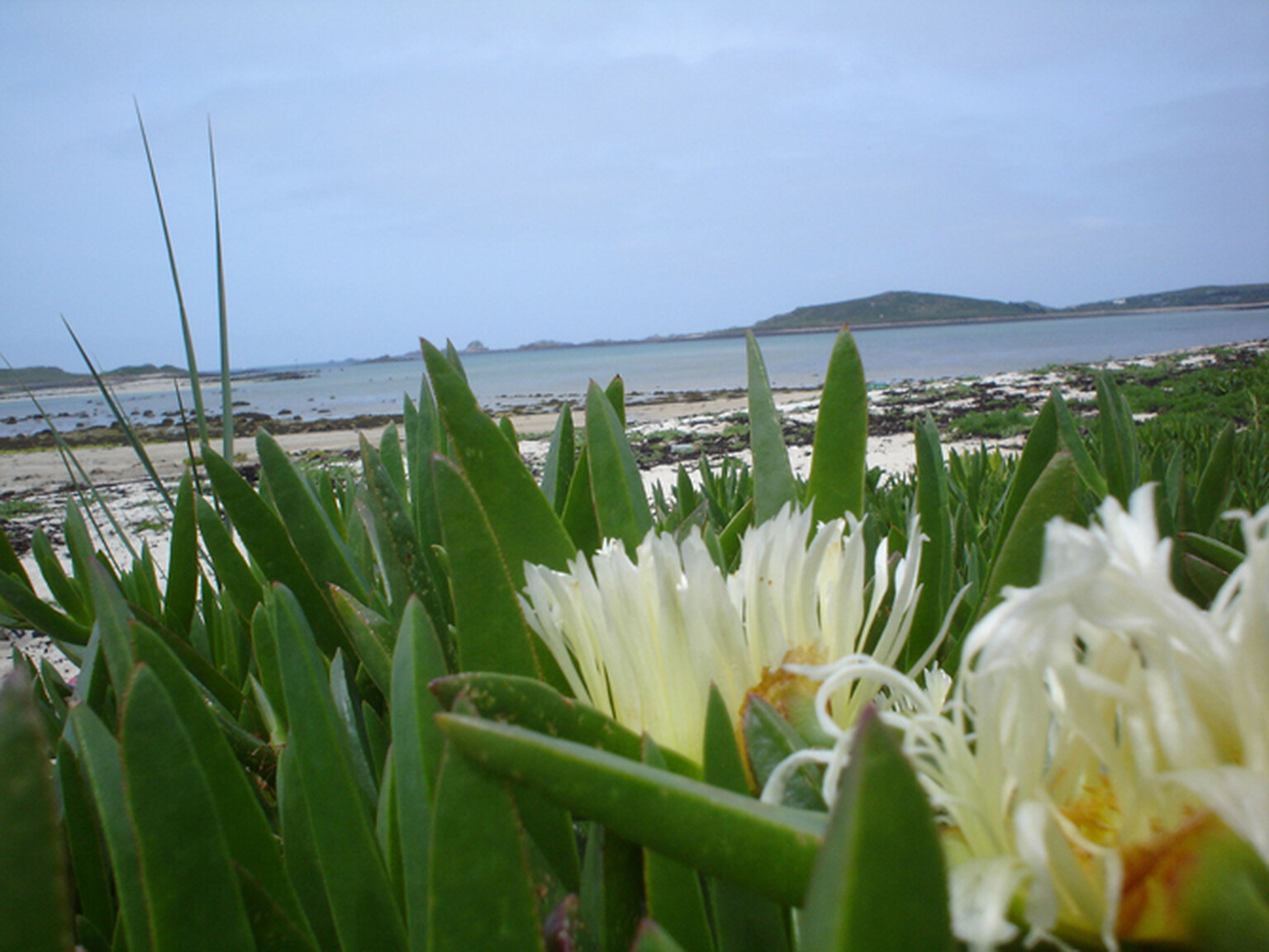BT’s superfast Scilly Isles project picks up unused undersea fibre