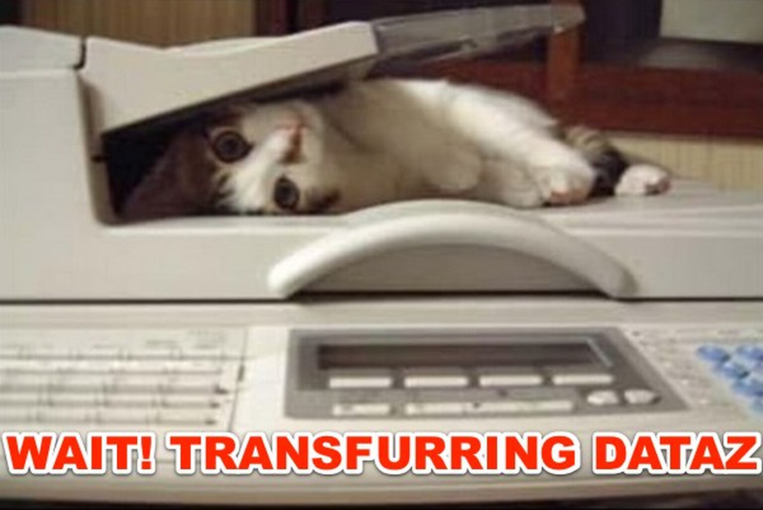 Warning: don’t cancel broadband when you axe your fax