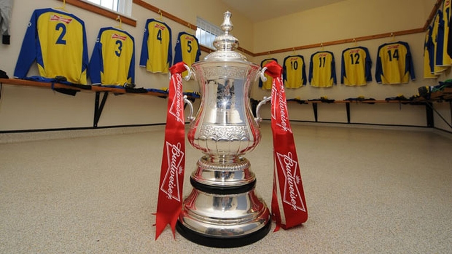 How can I get the 2013/14 English FA Cup on TV?