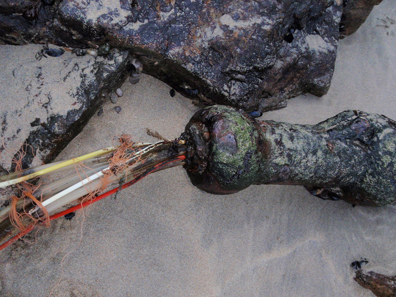 BT calls in the marines to fix undersea fibre link hit by cable thieves