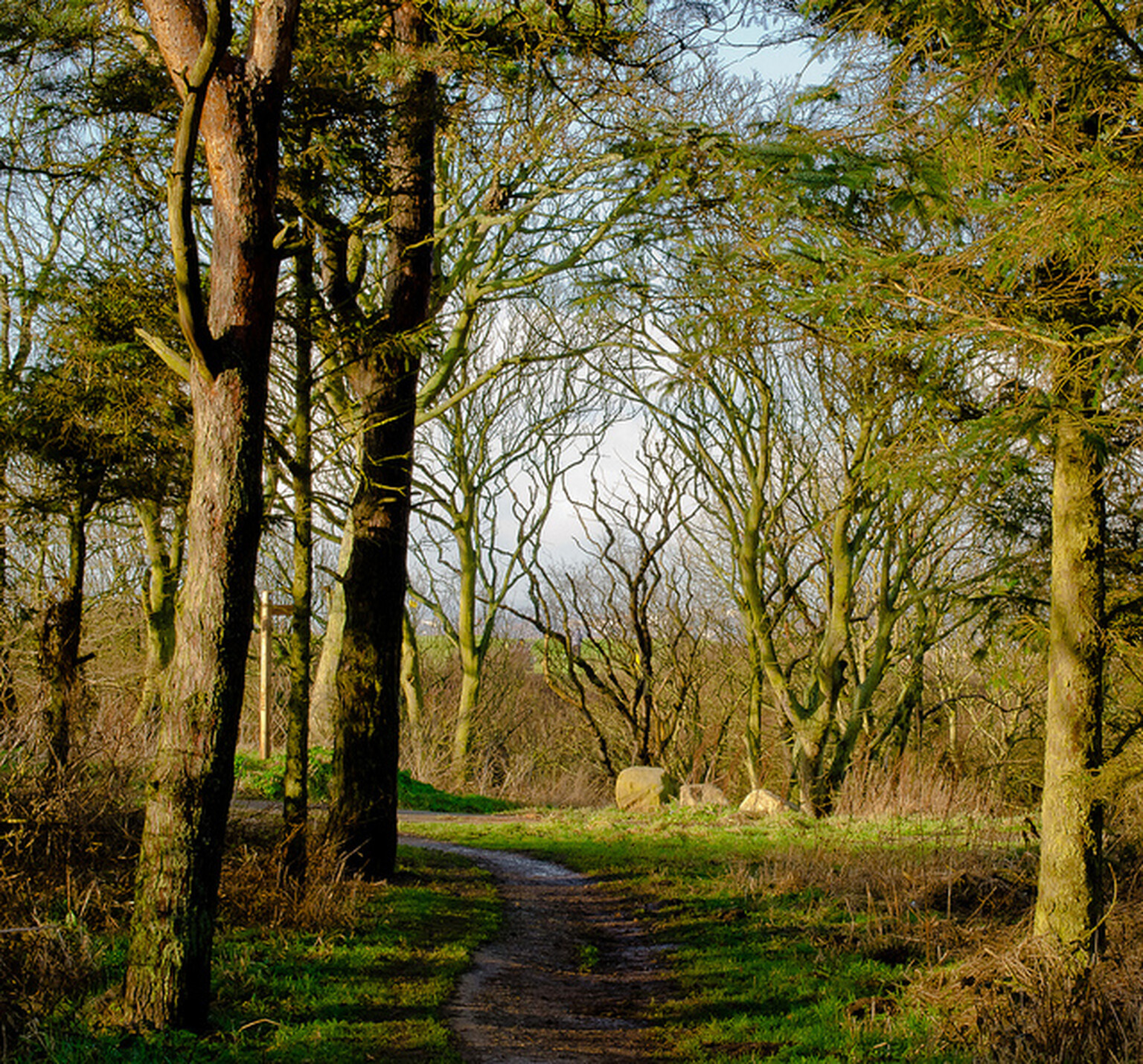 Farms cut out of rural broadband funding in North Yorkshire