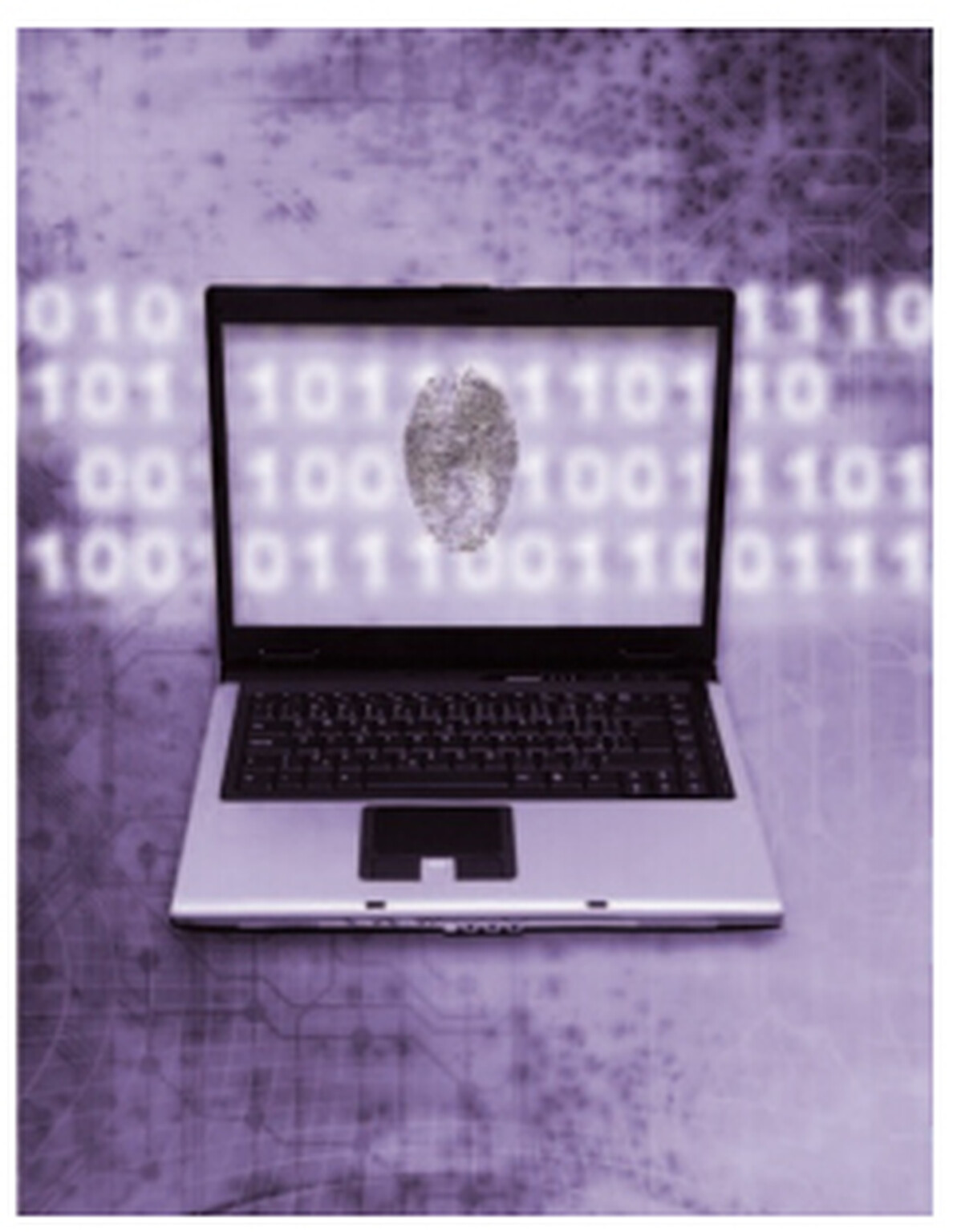 UK Government web snooping laws ‘China and Iran’-like