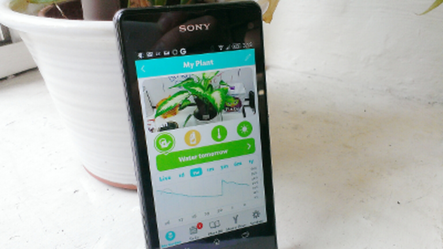 Parrot Flower Power checks in to Android with Bluetooth Smart