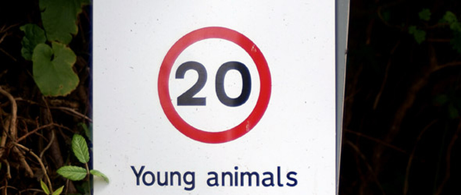 Number of crashes in 20mph zones increased in 2013