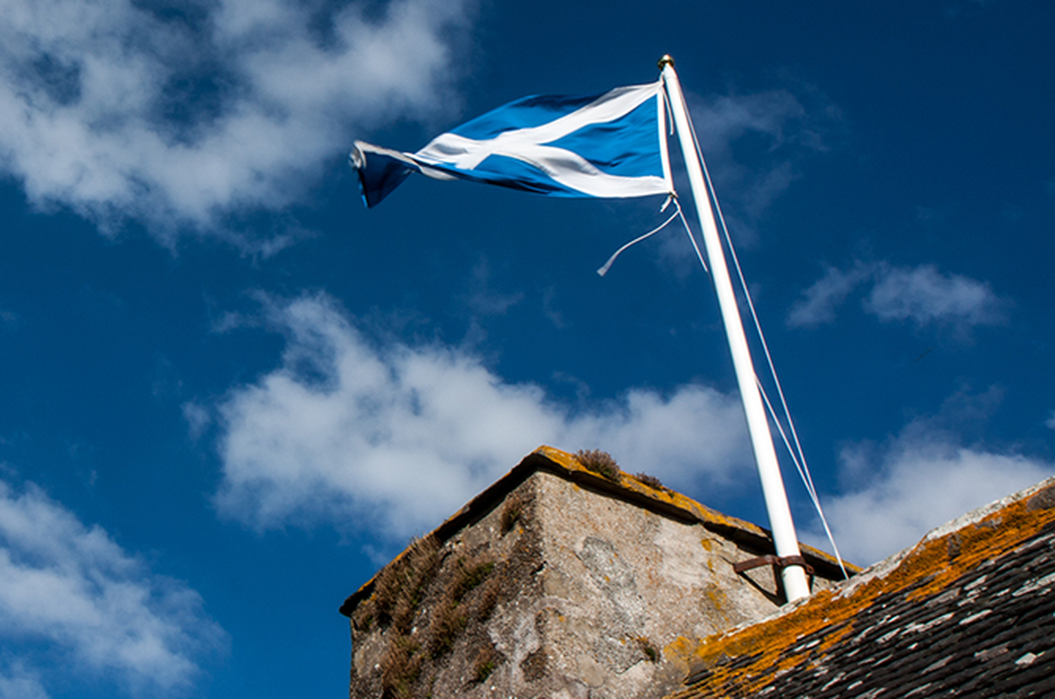 ISP owner mulls Scottish problems if Yes vote wins independence referendum