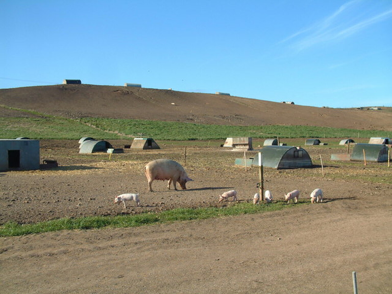 Satellite broadband nets half a million for pig farmer turned ISP impresario