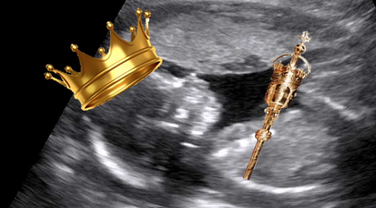 Top 5 iPhone 6 apps the Royal Baby Foetus 2 might enjoy