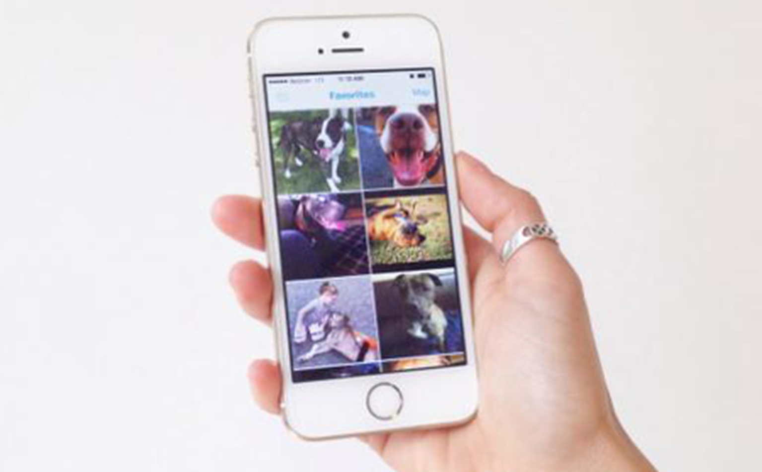 Barkbuddy is like Tinder for dogs (actual canines)