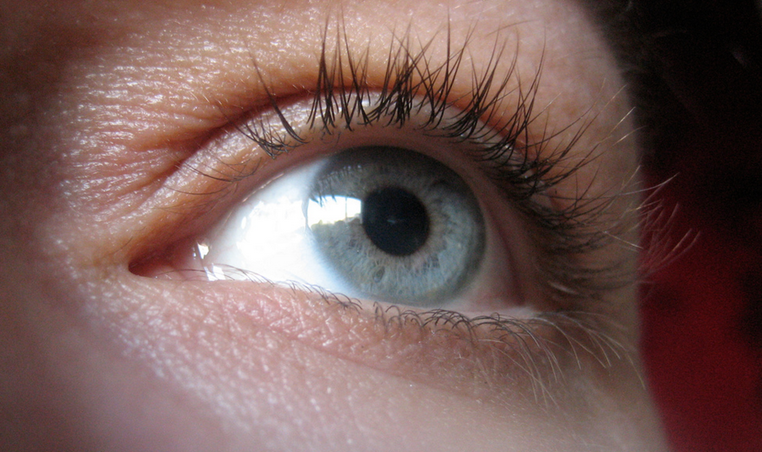 Iris recognition security hits Alcatel tablet
