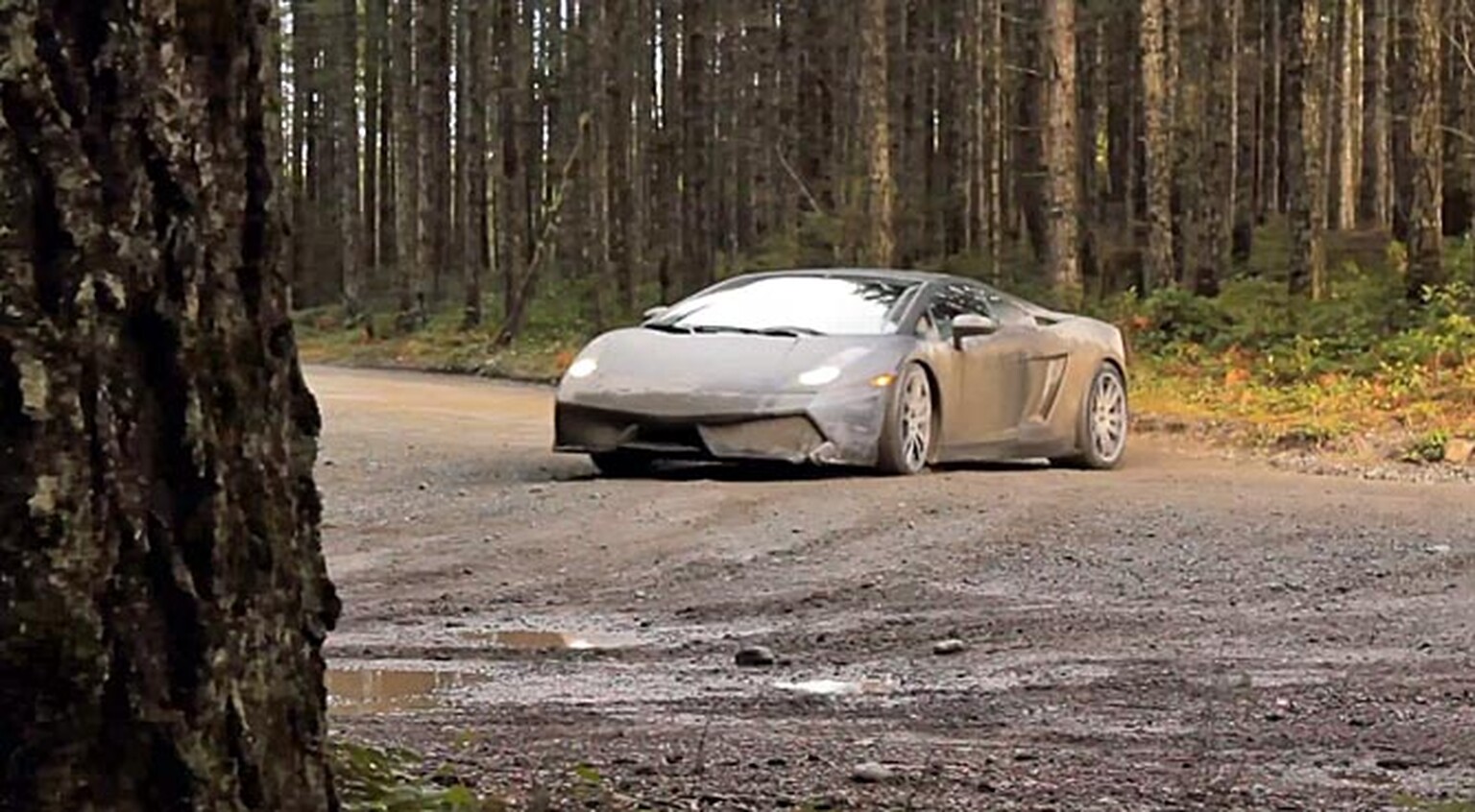 Lamborghini Gallardo driven, WRC style, through muddy woodland - video