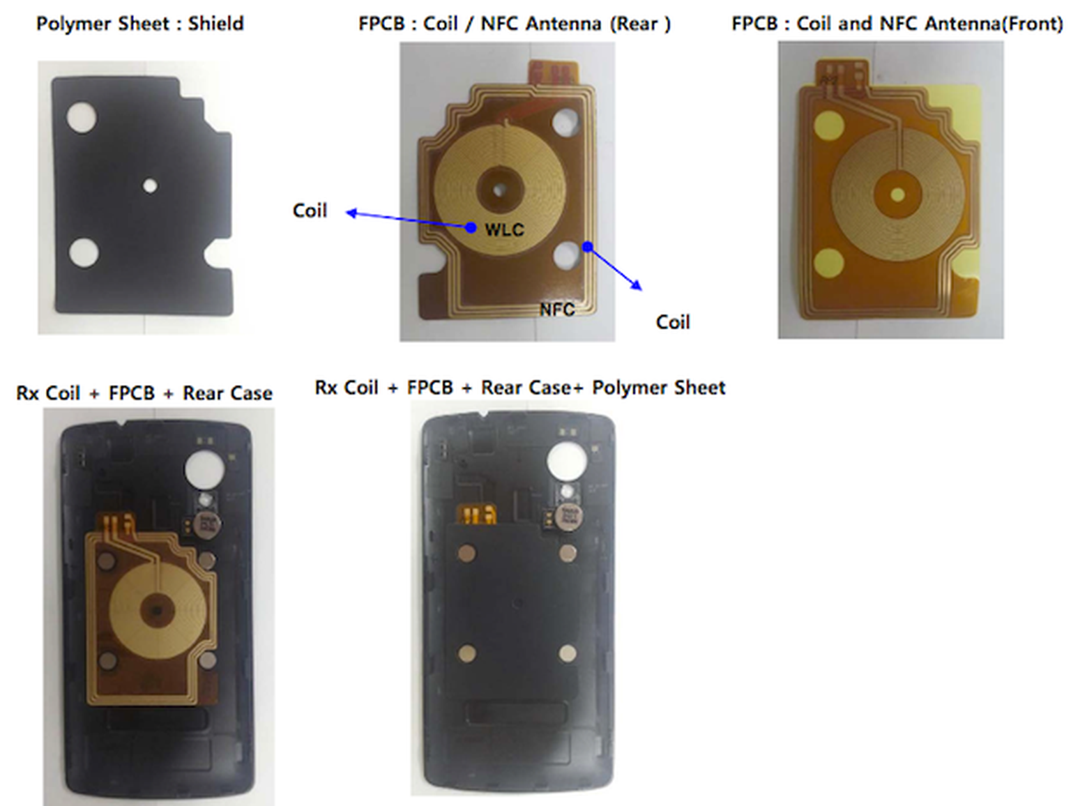 The next-generation Nexus phone may support LTE