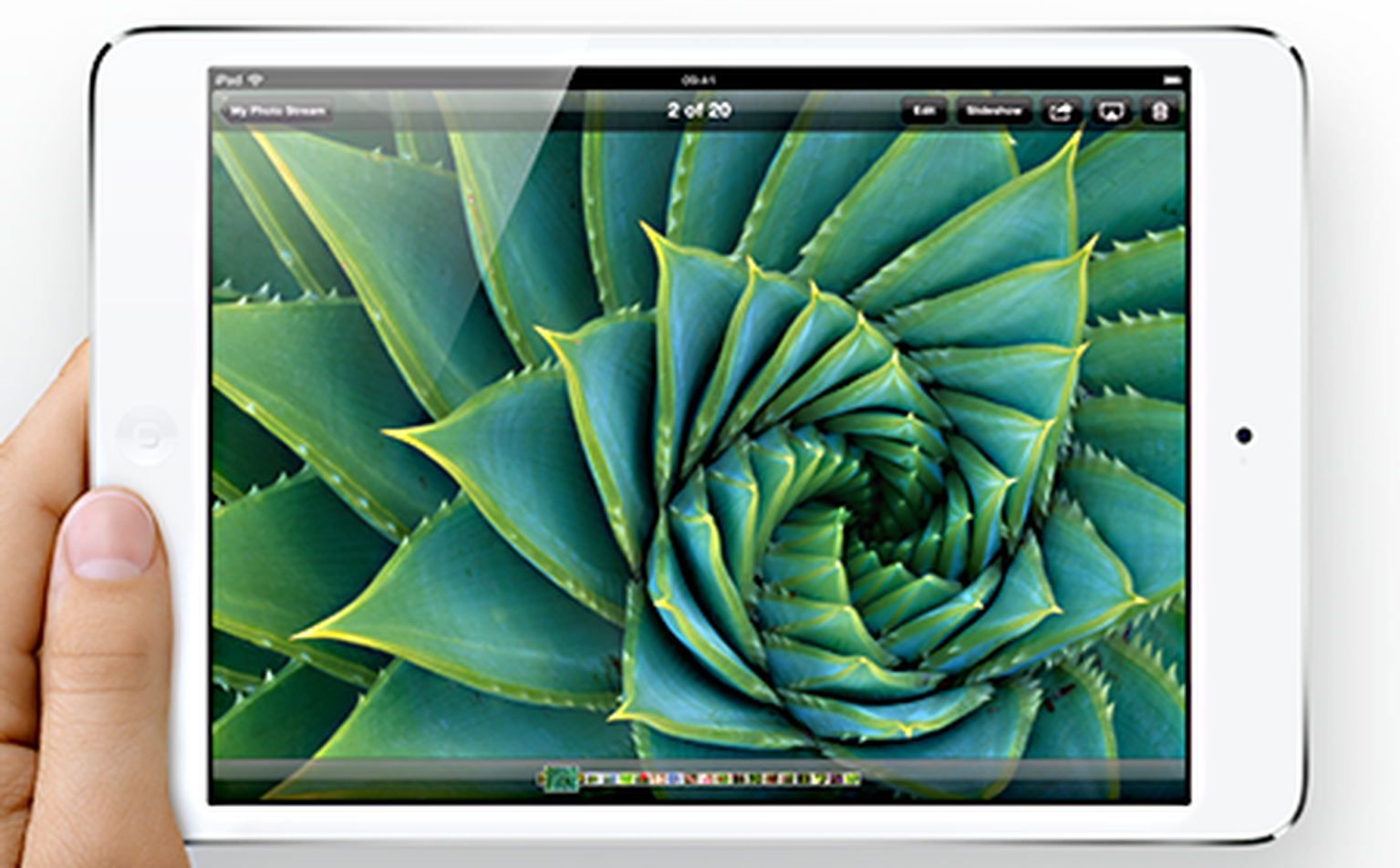 Apple iPad Mini 2 displays to be produced by Sharp, AUO and LG