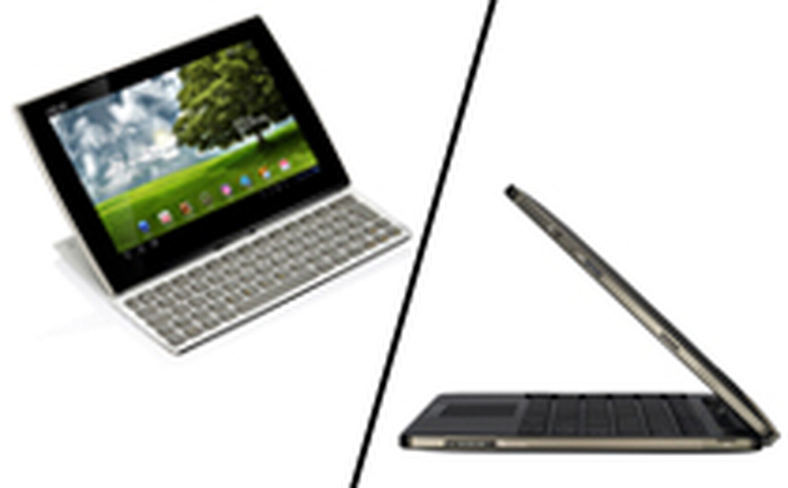 Asus Eee Pad Transformer TF101 and Slider SL101 to get Jelly Bean