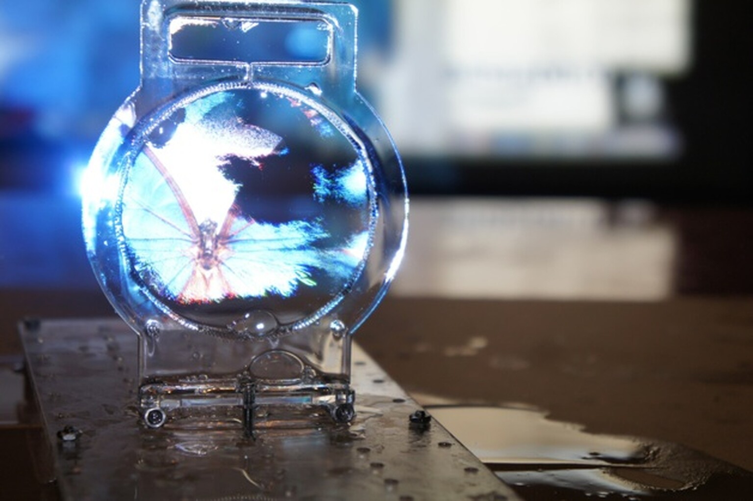 Bubbles used to create the thinnest transparent display on the planet