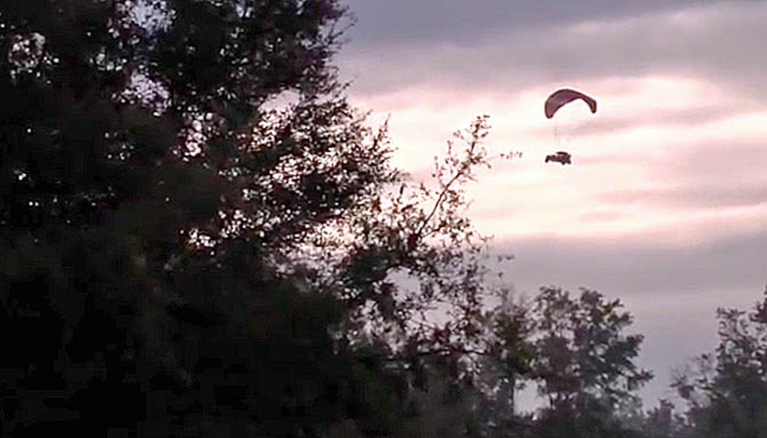 Maverick flying car crashes into tree