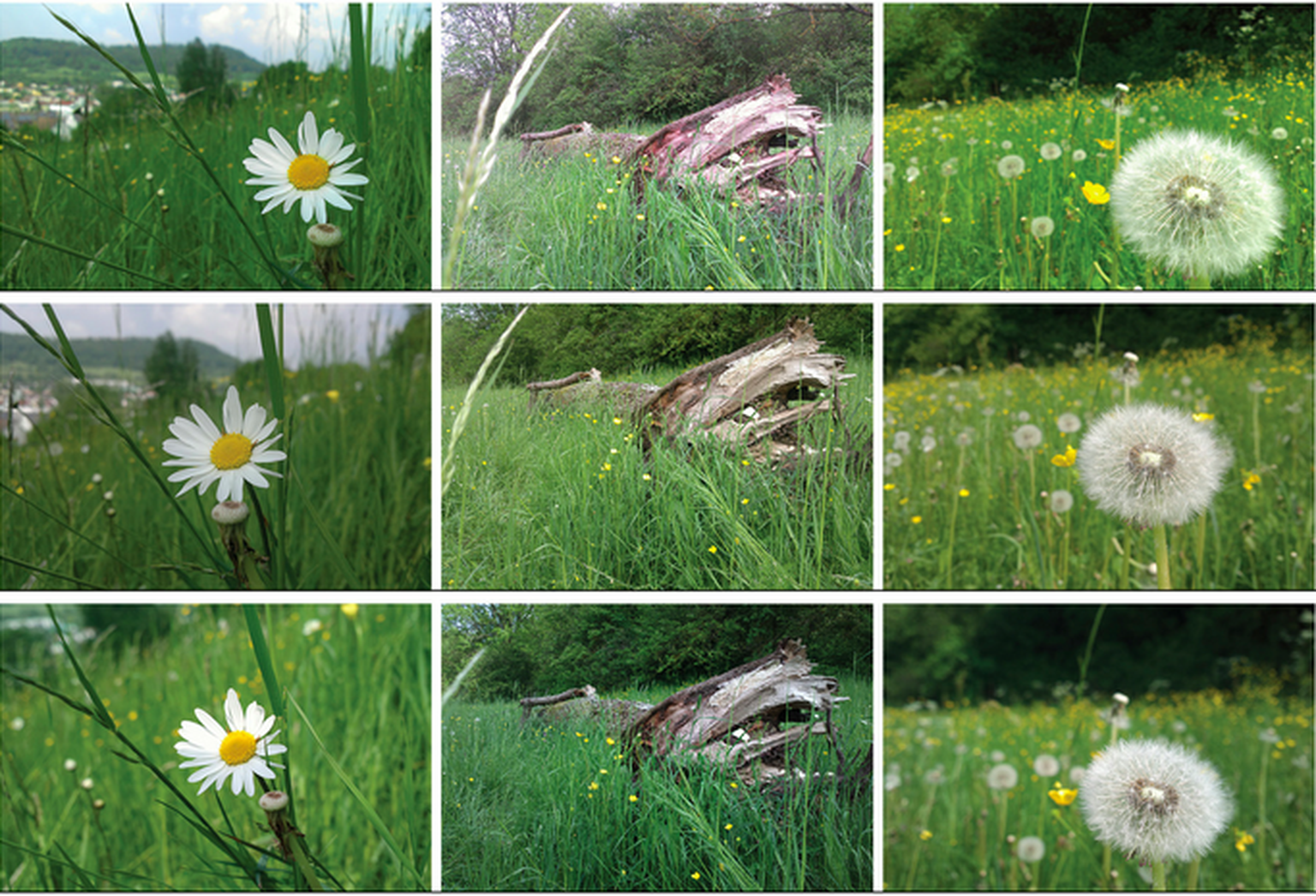 HTC One X VS Nokia N8 VS Nokia 808 Pureview camera comparison
