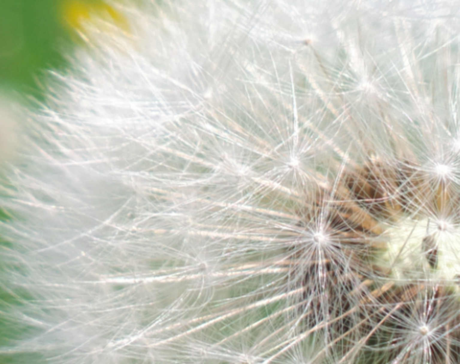 The Nokia 808 Pureview: A camera that will make us switch to Symbian