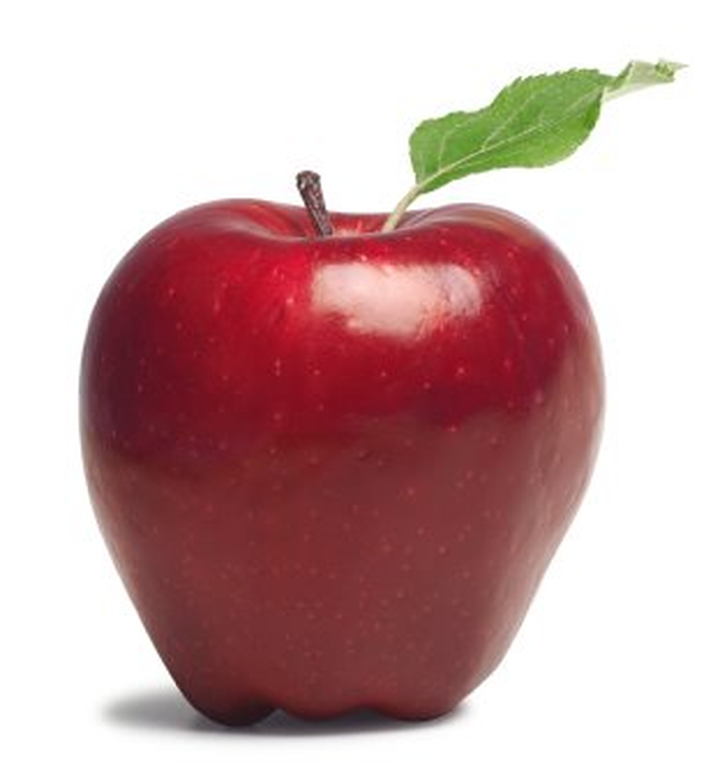 Apple's share price forecasted to be the first to break $1tn, overtakes Google