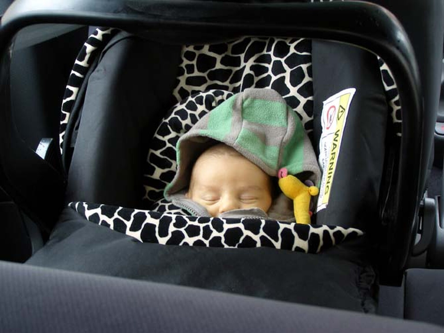 Thief steals a car with a baby inside