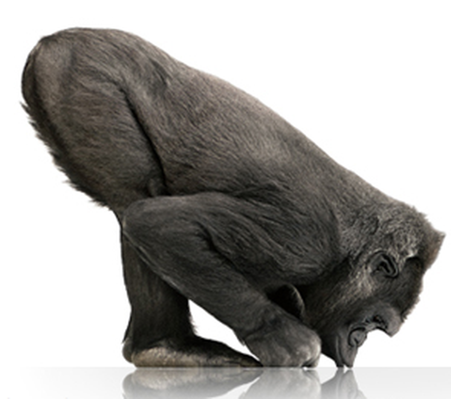 Gorilla glass gets tougher at CES