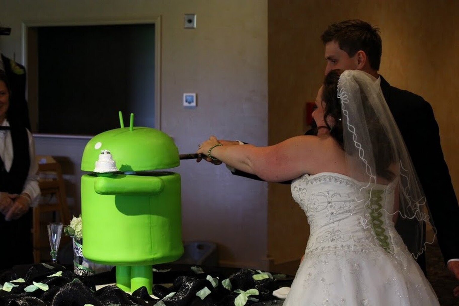 I now pronounce you Mandroid and Wife: Android-themed wedding pushes the boundaries of fandom