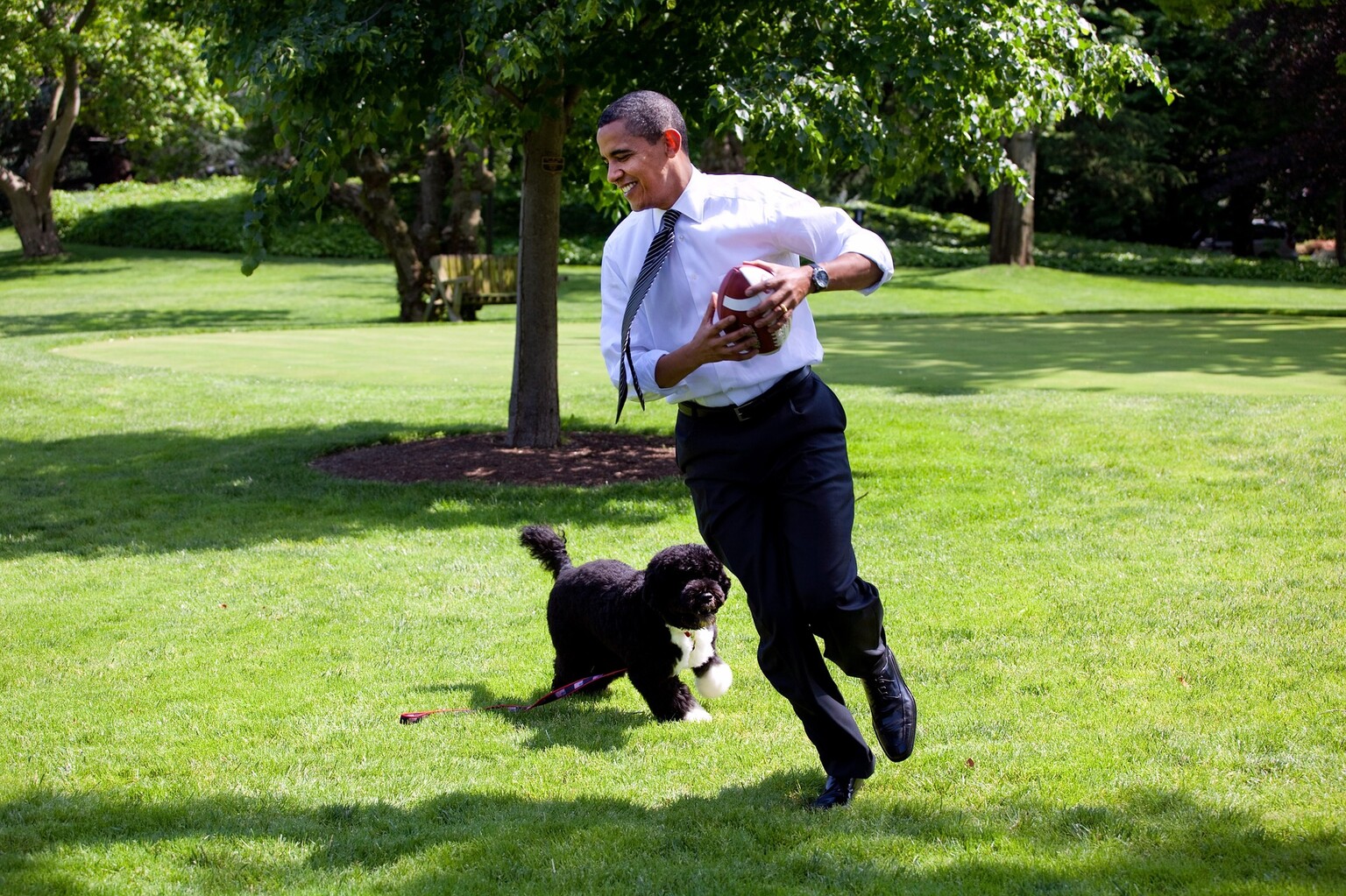 Apple TV is frying my brain with an Obama interview shot entirely with green screen