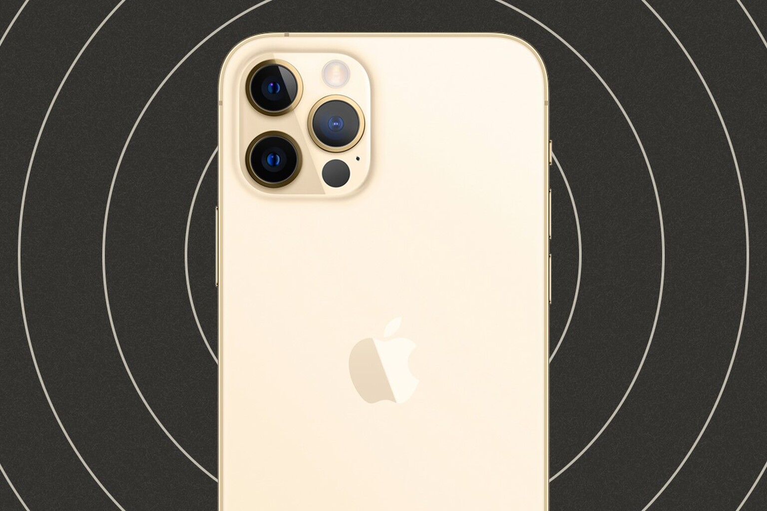 Take it easy, riders: Bringing your iPhone on a motorbike could ruin its camera