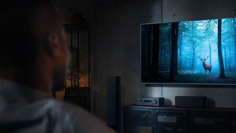 Yamaha RX3900 in use, showing a deer on a television