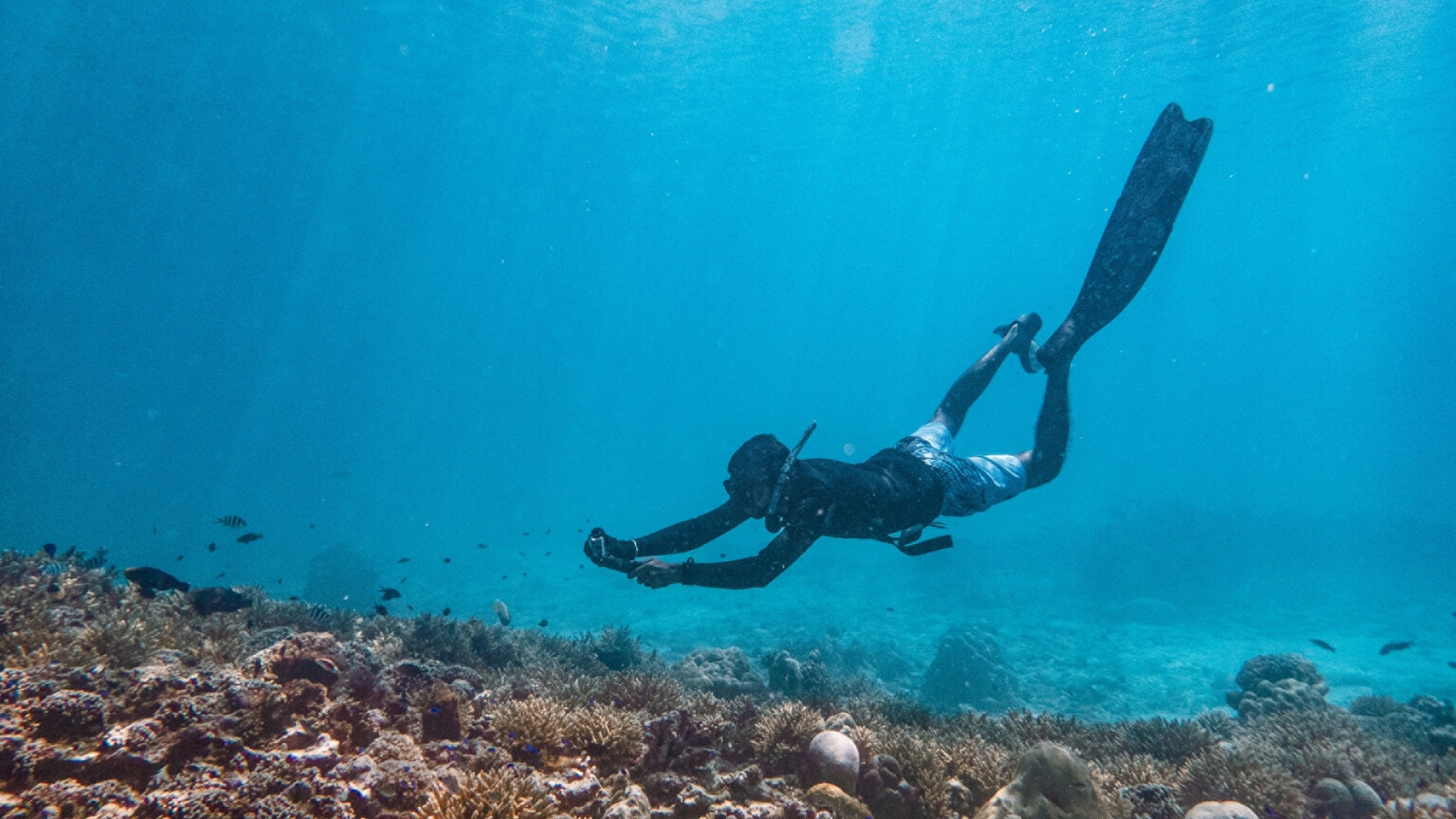 This Four Seasons resort offers snorkelling experiences led by marine biologists